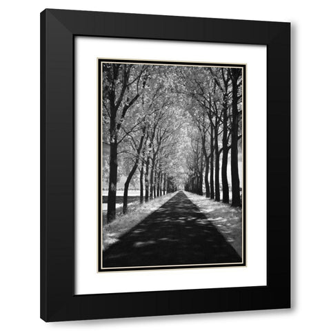 Follow Me Black Modern Wood Framed Art Print with Double Matting by Szilagyi, Ily