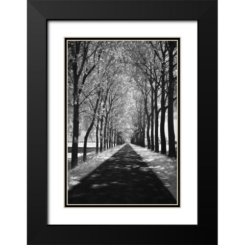Follow Me Black Modern Wood Framed Art Print with Double Matting by Szilagyi, Ily