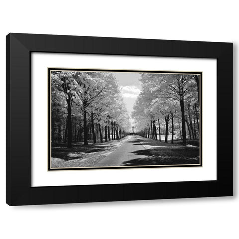 Sublime Black Modern Wood Framed Art Print with Double Matting by Szilagyi, Ily
