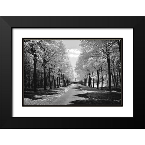 Sublime Black Modern Wood Framed Art Print with Double Matting by Szilagyi, Ily