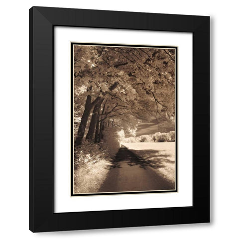 The Path Ahead Black Modern Wood Framed Art Print with Double Matting by Szilagyi, Ily