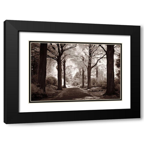 Arcadia Black Modern Wood Framed Art Print with Double Matting by Szilagyi, Ily