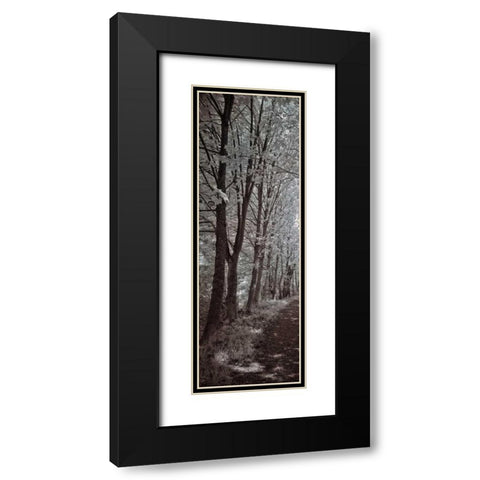 A Walk To Remember I Black Modern Wood Framed Art Print with Double Matting by Szilagyi, Ily
