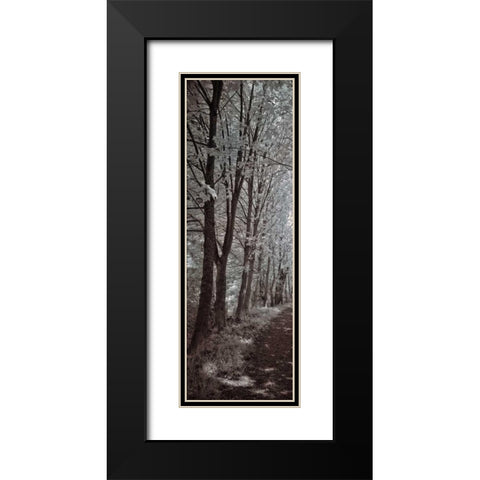 A Walk To Remember I Black Modern Wood Framed Art Print with Double Matting by Szilagyi, Ily