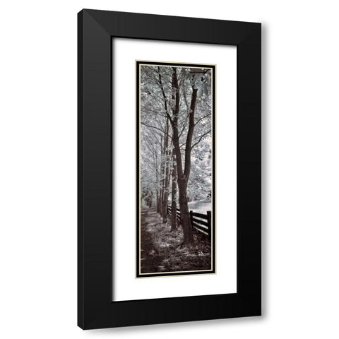 A Walk To Remember II Black Modern Wood Framed Art Print with Double Matting by Szilagyi, Ily