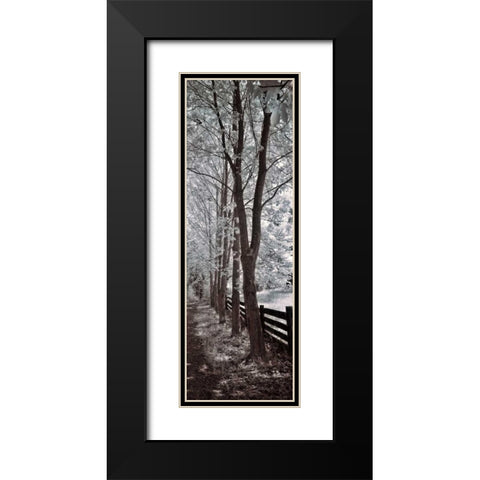 A Walk To Remember II Black Modern Wood Framed Art Print with Double Matting by Szilagyi, Ily