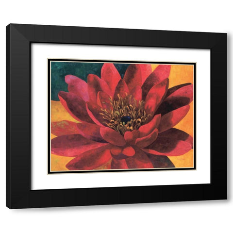 Red Water Lily Black Modern Wood Framed Art Print with Double Matting by Torrontegui, Maria