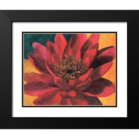 Red Water Lily Black Modern Wood Framed Art Print with Double Matting by Torrontegui, Maria