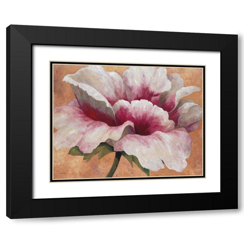 Pink Begonia Black Modern Wood Framed Art Print with Double Matting by Torrontegui, Maria