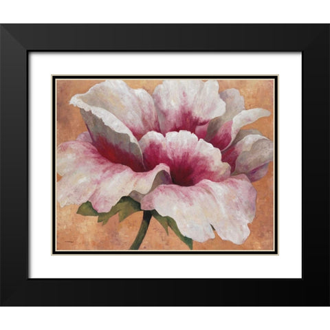 Pink Begonia Black Modern Wood Framed Art Print with Double Matting by Torrontegui, Maria