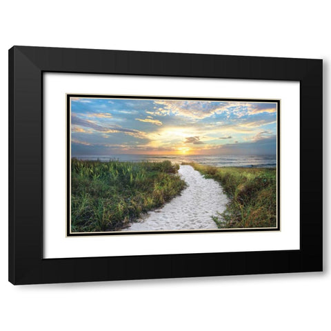 Morning Trail Black Modern Wood Framed Art Print with Double Matting by Celebrate Life Gallery