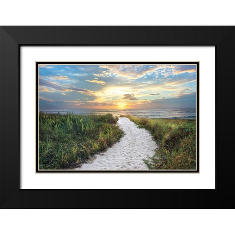 Morning Trail Black Modern Wood Framed Art Print with Double Matting by Celebrate Life Gallery