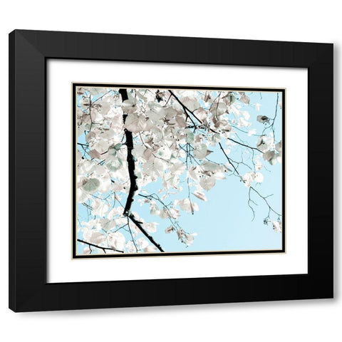 Linden Tree Branches Black Modern Wood Framed Art Print with Double Matting by Duealberi, Antonia and Fabio
