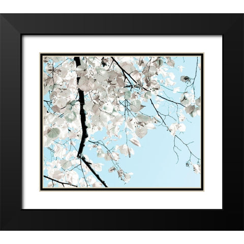Linden Tree Branches Black Modern Wood Framed Art Print with Double Matting by Duealberi, Antonia and Fabio