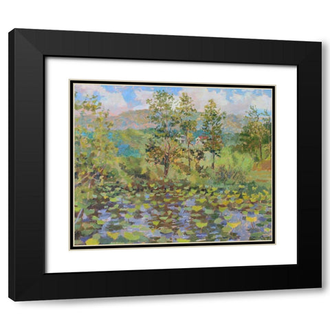 Nimrod Bath County Lily Pad Black Modern Wood Framed Art Print with Double Matting by Bality, Andras