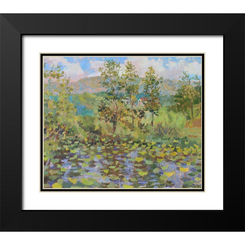 Nimrod Bath County Lily Pad Black Modern Wood Framed Art Print with Double Matting by Bality, Andras
