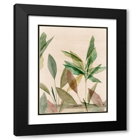 Colourful Tropics II  Black Modern Wood Framed Art Print with Double Matting by Aria K