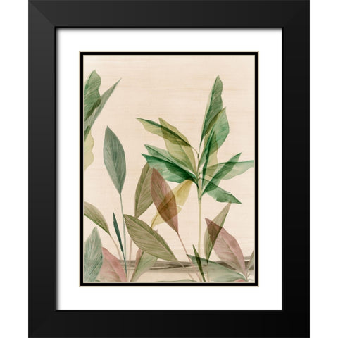 Colourful Tropics II  Black Modern Wood Framed Art Print with Double Matting by Aria K