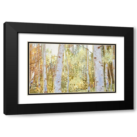 Summer Birch I  Black Modern Wood Framed Art Print with Double Matting by Del Rizzo, Anthony