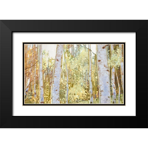Summer Birch I  Black Modern Wood Framed Art Print with Double Matting by Del Rizzo, Anthony
