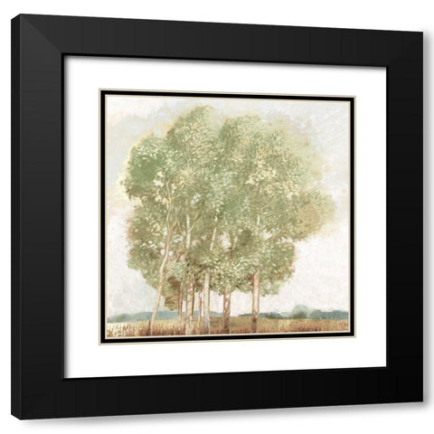 Willowdale Black Modern Wood Framed Art Print with Double Matting by Del Rizzo, Anthony