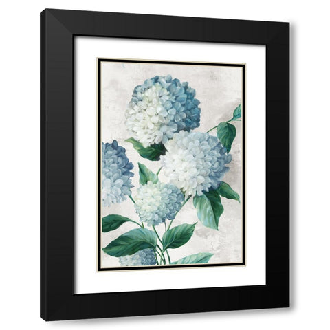 Blue Hydrangea Florals Black Modern Wood Framed Art Print with Double Matting by Black, Alex