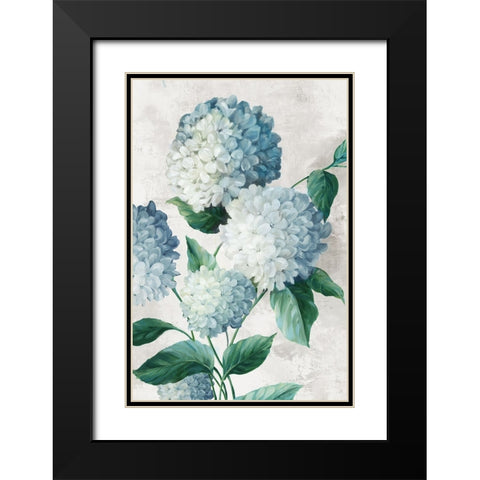 Blue Hydrangea Florals Black Modern Wood Framed Art Print with Double Matting by Black, Alex