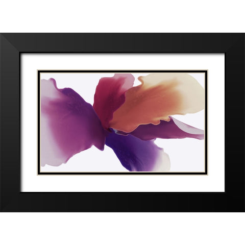 Orangico Black Modern Wood Framed Art Print with Double Matting by Black, Alex