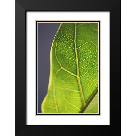 Bright Inside III Black Modern Wood Framed Art Print with Double Matting by Bock, Alicia