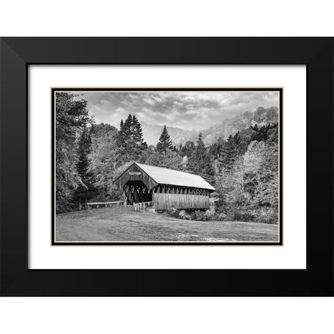 Bennett Bridge Black Modern Wood Framed Art Print with Double Matting by Berk