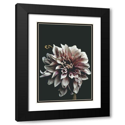 Dazed Black Modern Wood Framed Art Print with Double Matting by Kiss, Beatrice