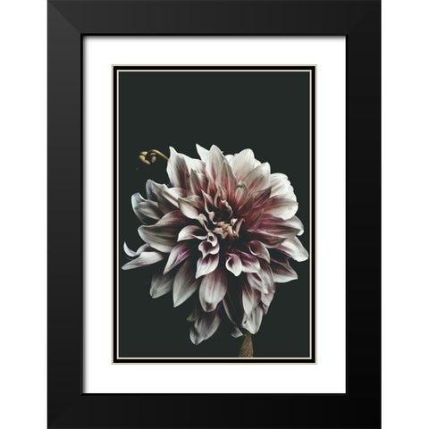 Dazed Black Modern Wood Framed Art Print with Double Matting by Kiss, Beatrice