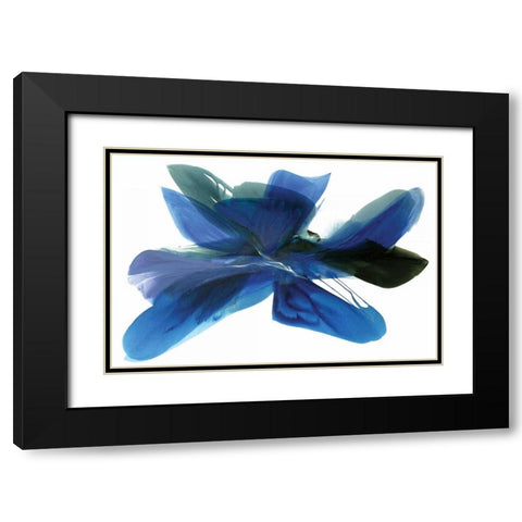Rhapsody Black Modern Wood Framed Art Print with Double Matting by Ridgeway, Bette