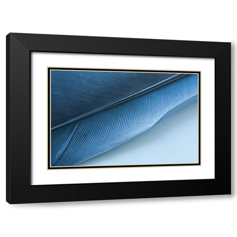 Blue Feather I Black Modern Wood Framed Art Print with Double Matting by Beavers, Jennifer
