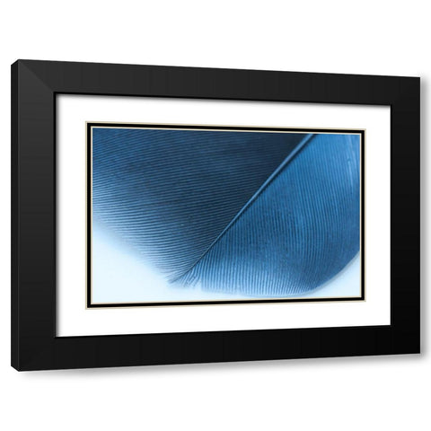 Blue Feather II Black Modern Wood Framed Art Print with Double Matting by Beavers, Jennifer