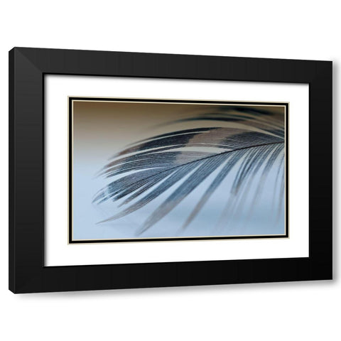 Sweet Dreams Black Modern Wood Framed Art Print with Double Matting by Beavers, Jennifer