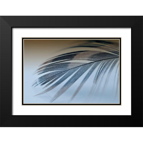 Sweet Dreams Black Modern Wood Framed Art Print with Double Matting by Beavers, Jennifer