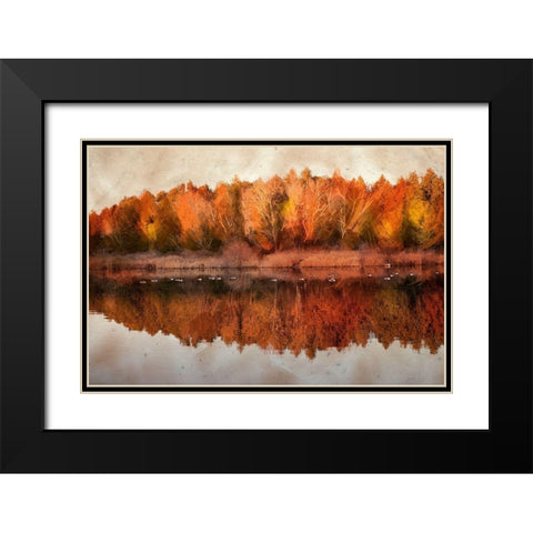 Lang Pix 4  Black Modern Wood Framed Art Print with Double Matting by Clements, Charlotte