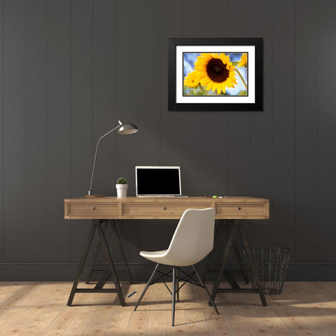 Sunshine Black Modern Wood Framed Art Print with Double Matting by Connolly, Karina