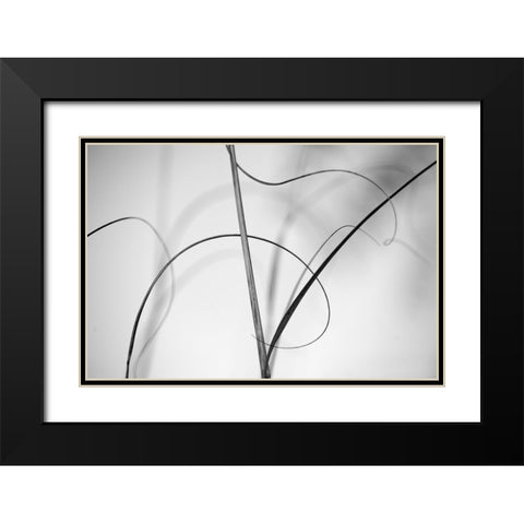 Elegant Vines I  Black Modern Wood Framed Art Print with Double Matting by Connolly, Karin