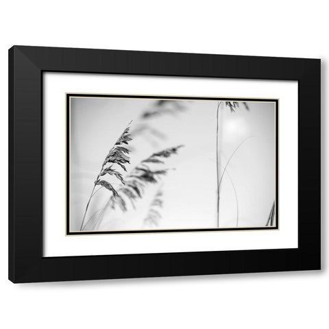 Elegant Vines II  Black Modern Wood Framed Art Print with Double Matting by Connolly, Karin