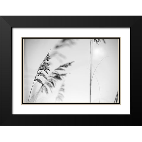 Elegant Vines II  Black Modern Wood Framed Art Print with Double Matting by Connolly, Karin