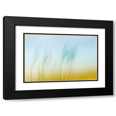 Sunset Air  Black Modern Wood Framed Art Print with Double Matting by Connolly, Karin