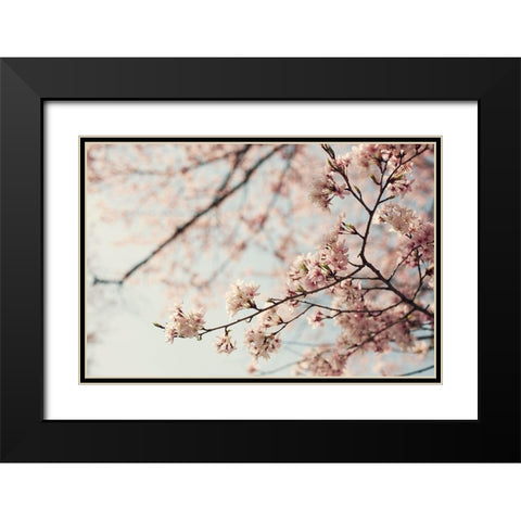 One Fine Day Black Modern Wood Framed Art Print with Double Matting by McDonald, Catherine