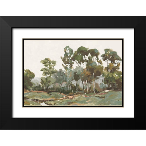 Enchanted Valley Black Modern Wood Framed Art Print with Double Matting by Jacob Q