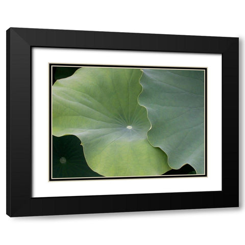 Lotus III Black Modern Wood Framed Art Print with Double Matting by Christensen, Jim