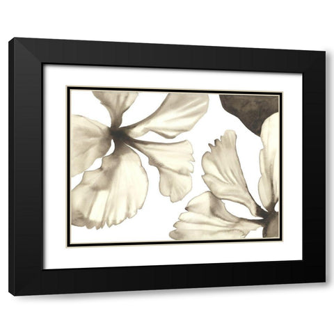 Hibiscus II Black Modern Wood Framed Art Print with Double Matting by Hendrick, Cathy
