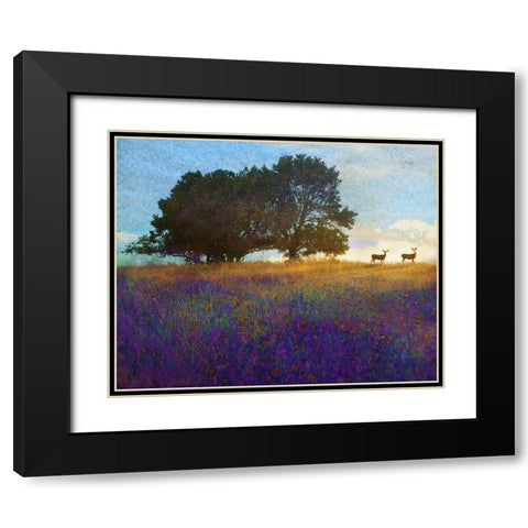Tree Hill Flowers Black Modern Wood Framed Art Print with Double Matting by Vest, Chris