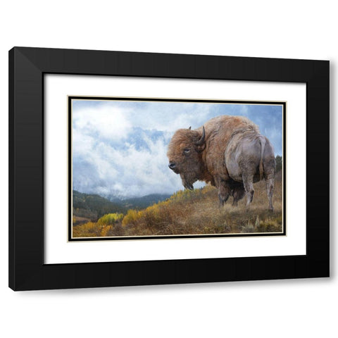 Golden Bison  Black Modern Wood Framed Art Print with Double Matting by Vest, Chris