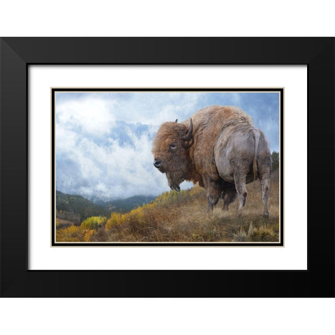 Golden Bison  Black Modern Wood Framed Art Print with Double Matting by Vest, Chris
